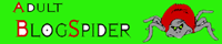 Adult Blog Spider